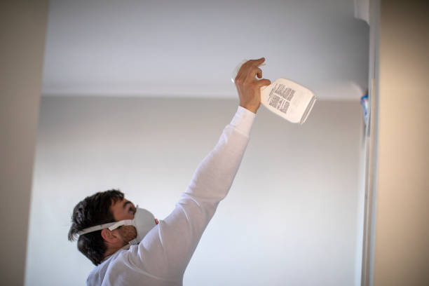 Best Attic Mold Removal  in Walce, LA
