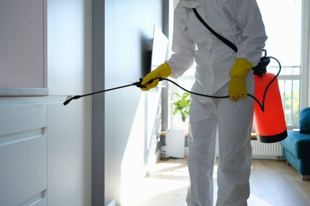 Attic Mold Removal in Wallace, LA